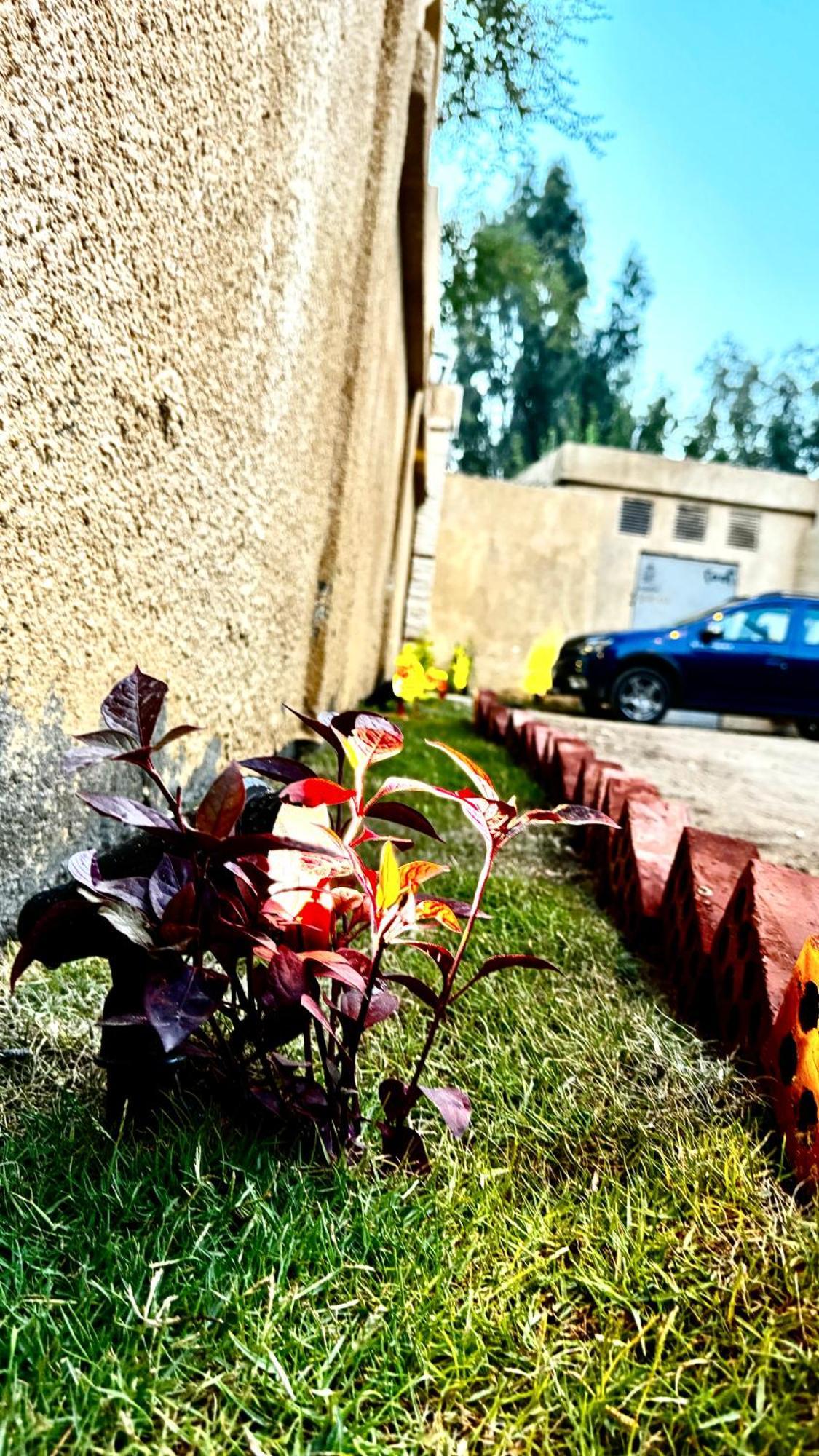 Hotel Golf Pyramids View Kafret el-Gabal Zewnętrze zdjęcie